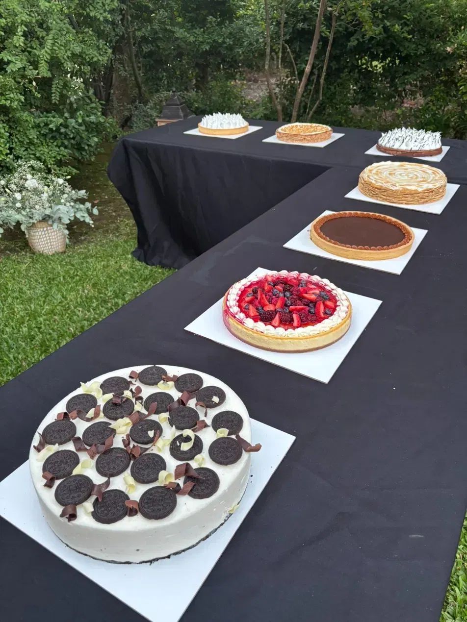 Comida Pizzado 3